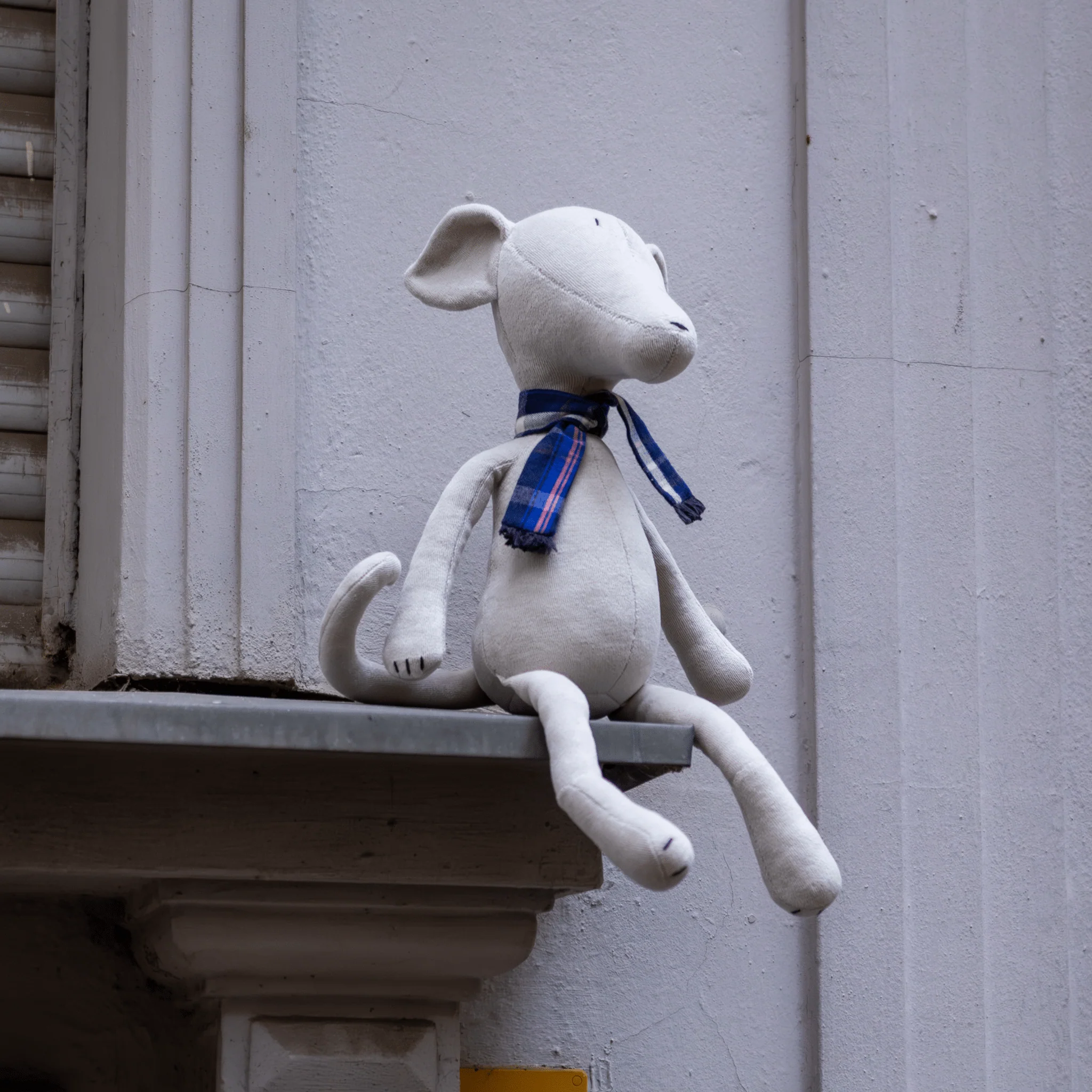 ARTIE THE GREYHOUND - L - Image 6
