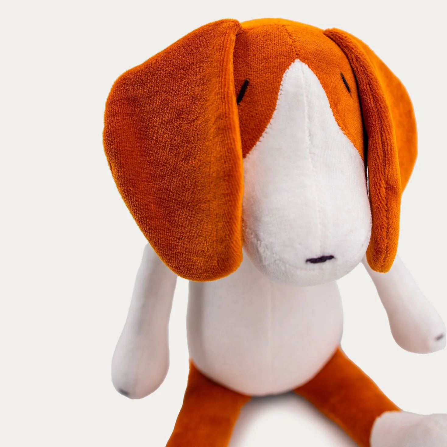 BARRY THE BEAGLE - L - Image 5