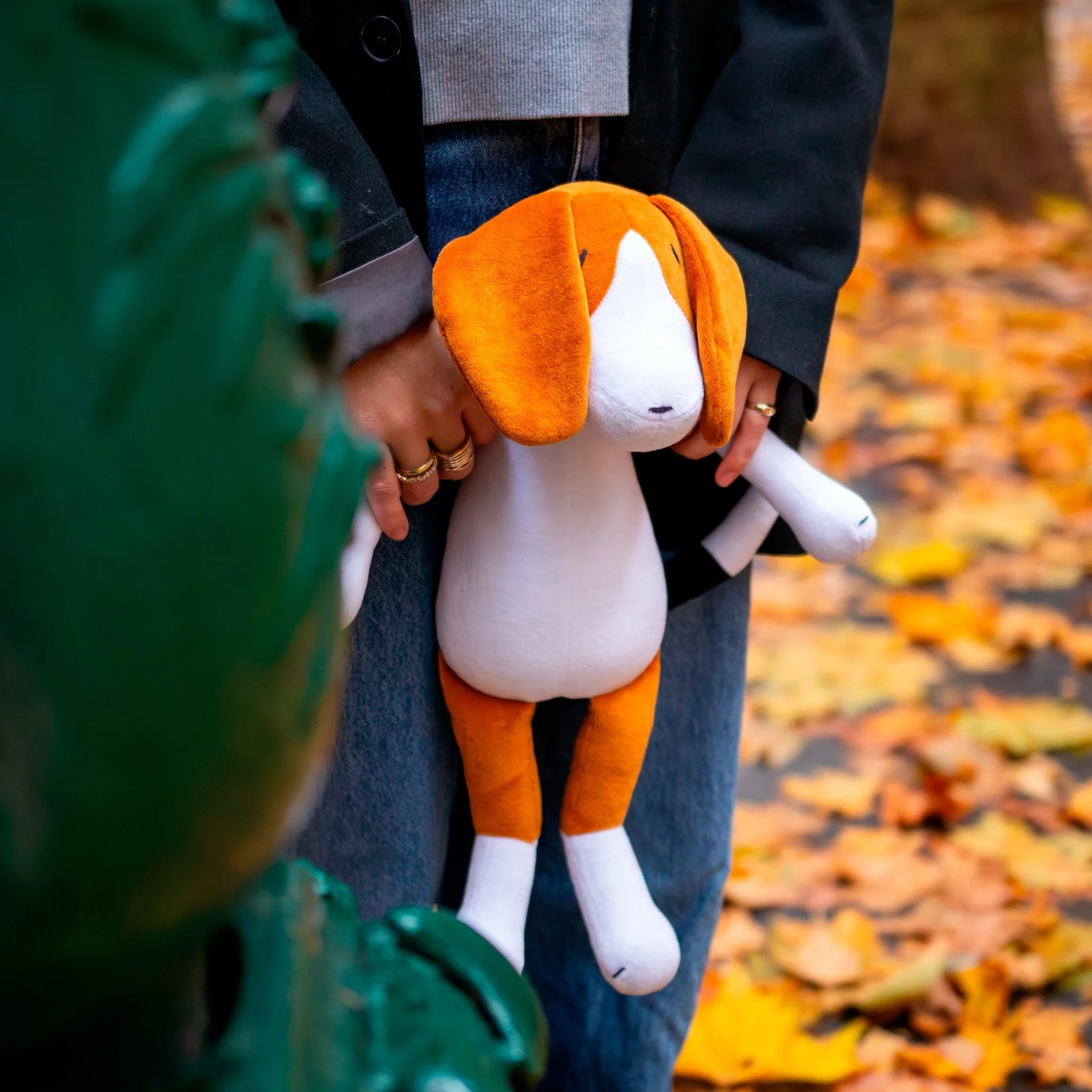 BARRY THE BEAGLE - L - Image 7
