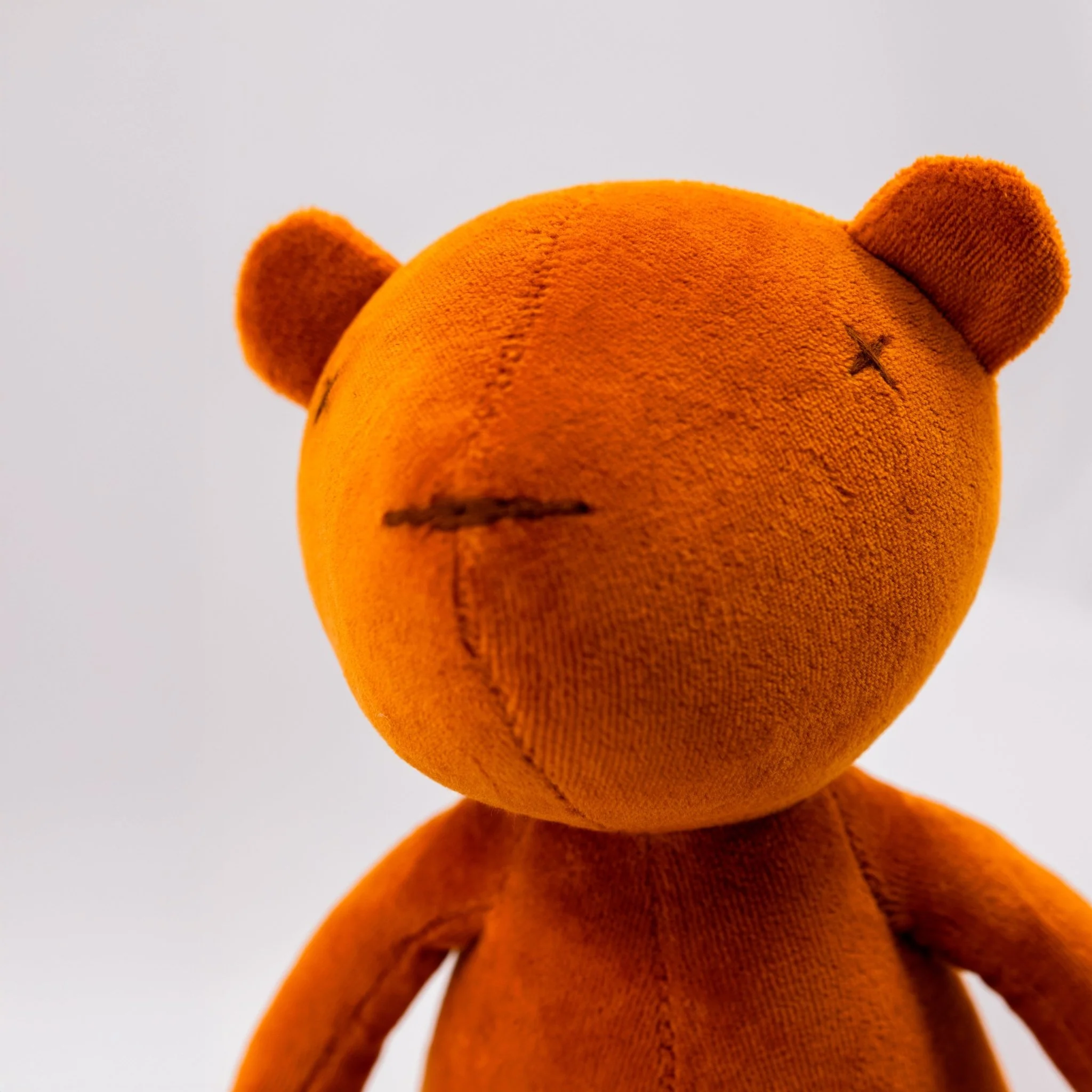 JERMAINE THE BEAR - L - Image 12