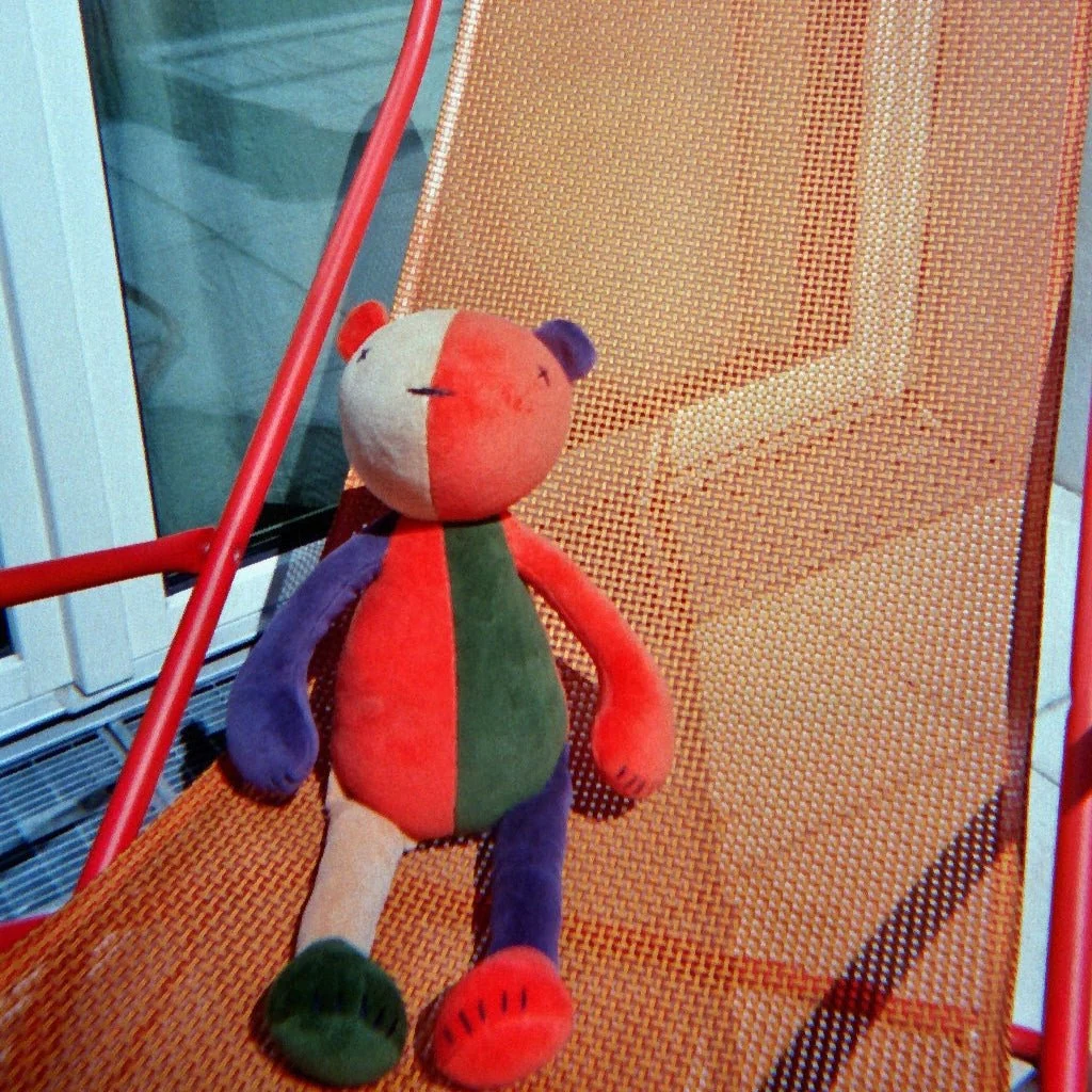 JERMAINE THE BEAR - L - MULTICOLOR - Image 4