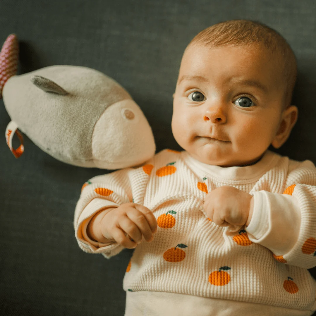 LAURETTE THE FISH - MADE IN EU - Image 3