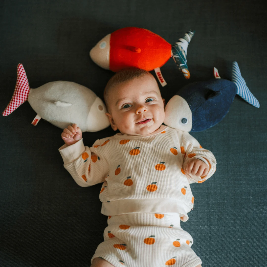 PACK OF 3 FISH - MADE IN EU - Image 6